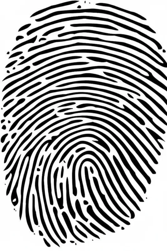 Fingerabdruck (Foto: Wikimedia Commons) Fingerabdruck (Foto: Wikimedia Commons)