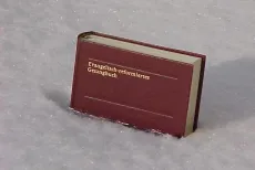 Gesangbuch im Schnee (Foto: Kirchenweb Bilder)