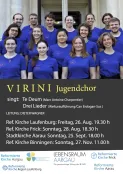 Virini Plakat 22 Endversion (Foto: Dieter Wagner)